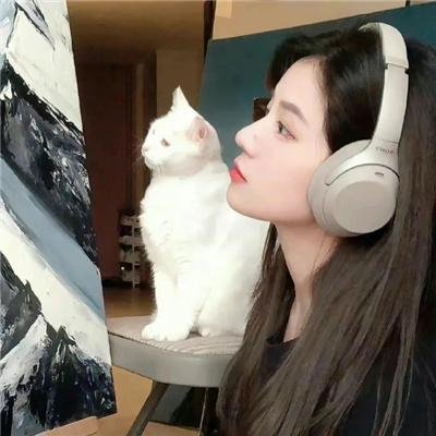 画江湖之不良人
