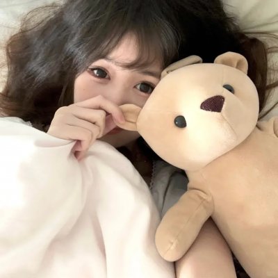 马达加斯加的企鹅